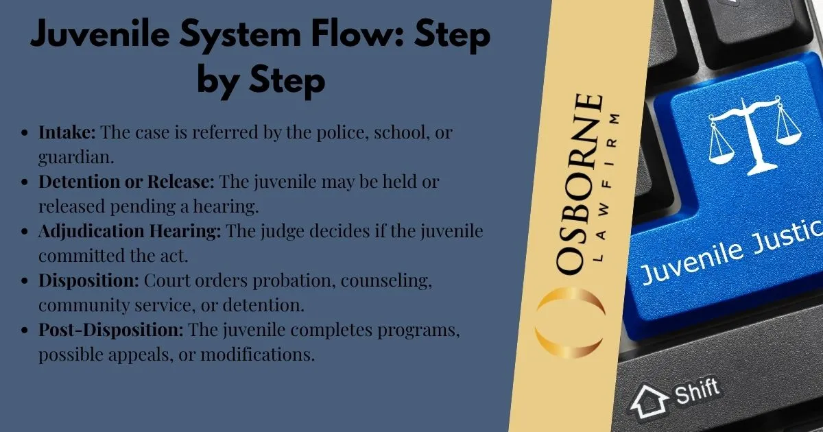 criminal law infographic